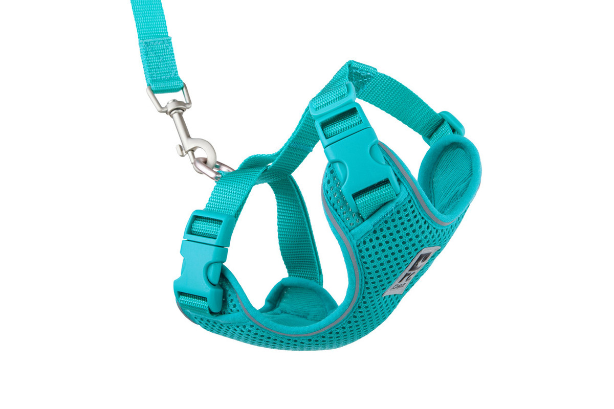 Adventure Kitty Harness - Teal