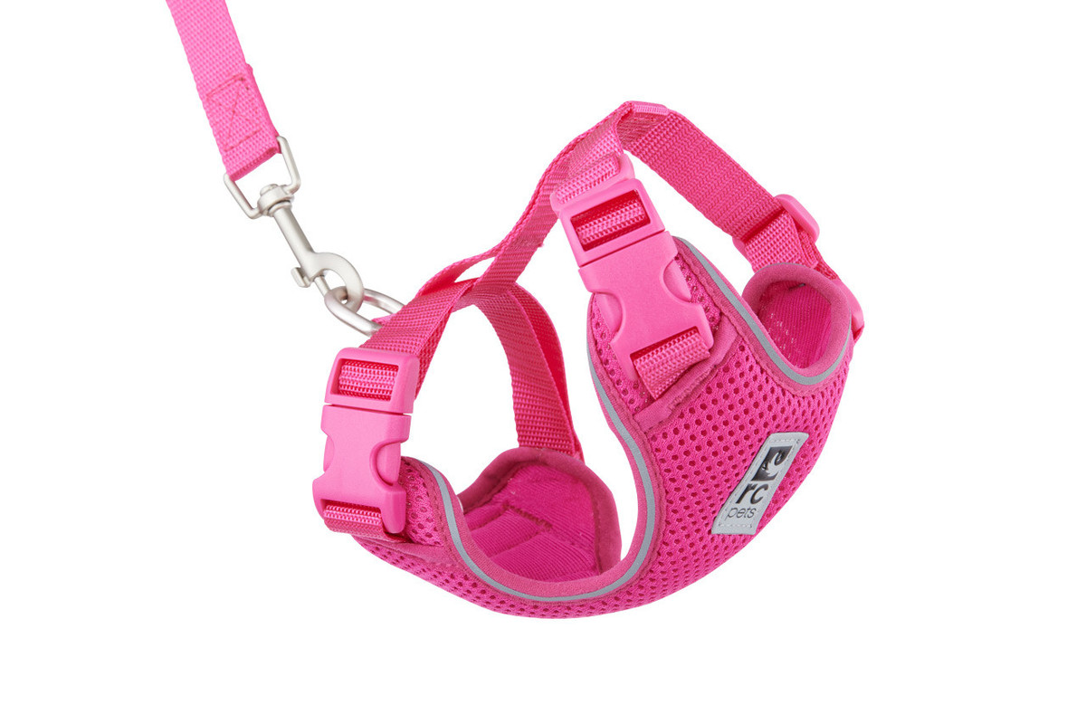 Adventure Kitty Harness - Raspberry