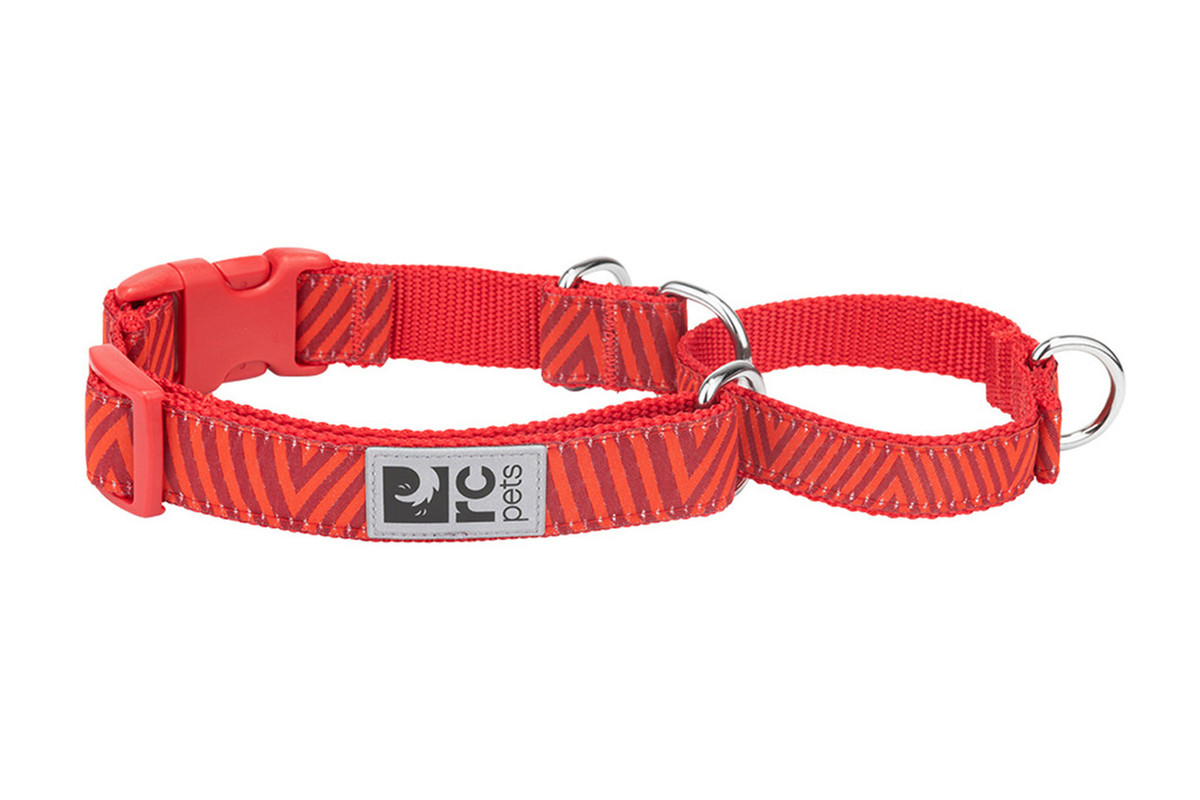 Easy Clip Web Training Collar - Goji Chevron