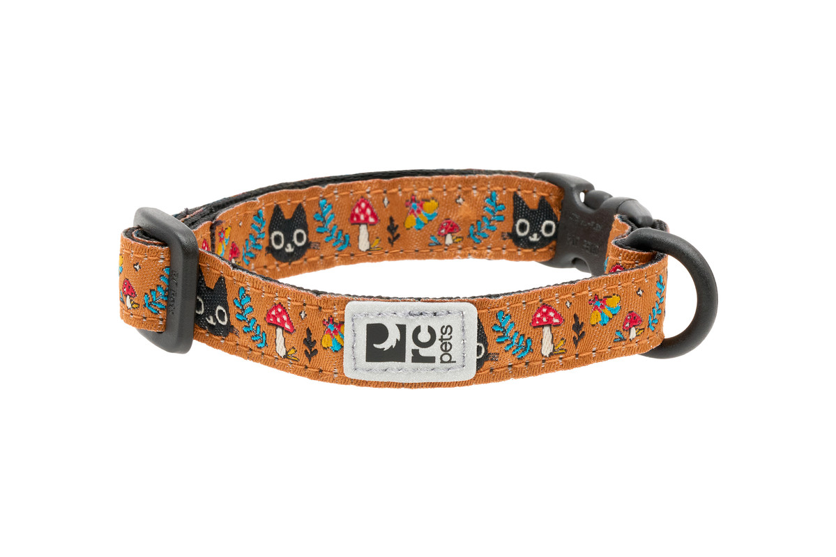 Kitty Breakaway - Forager