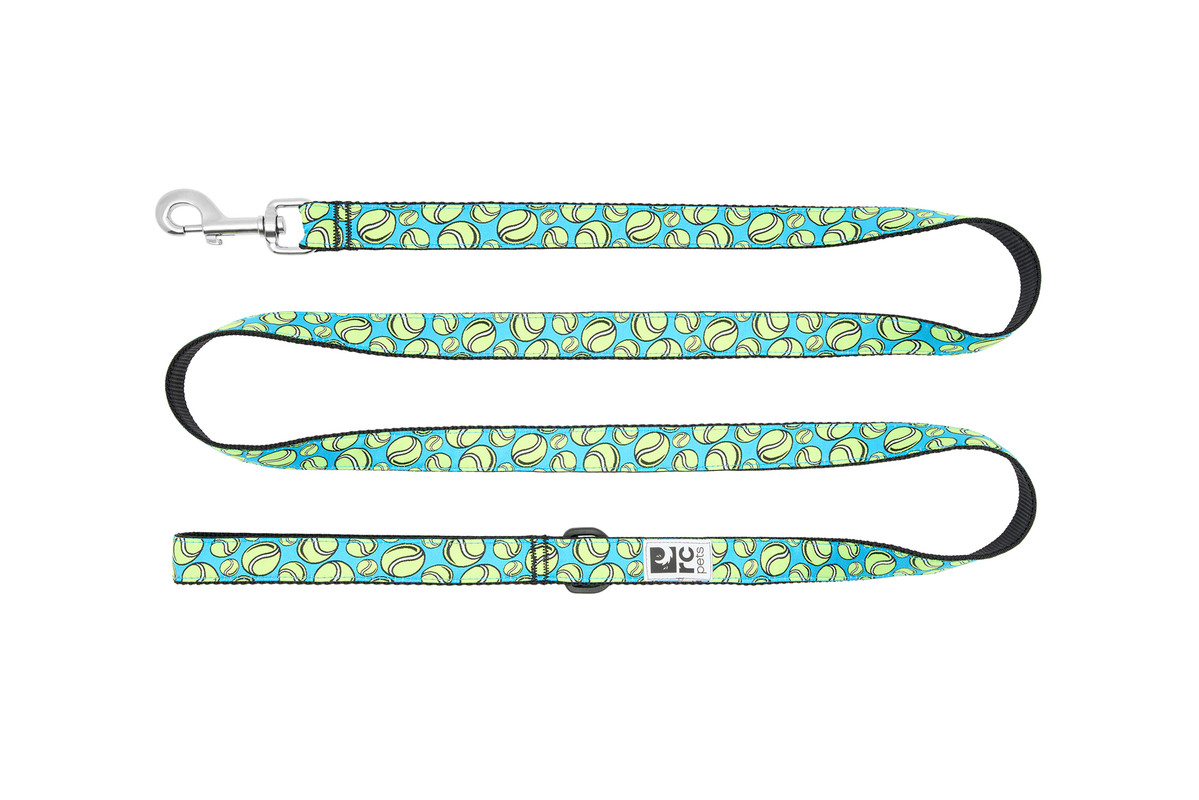 Dog Leash - Fetch