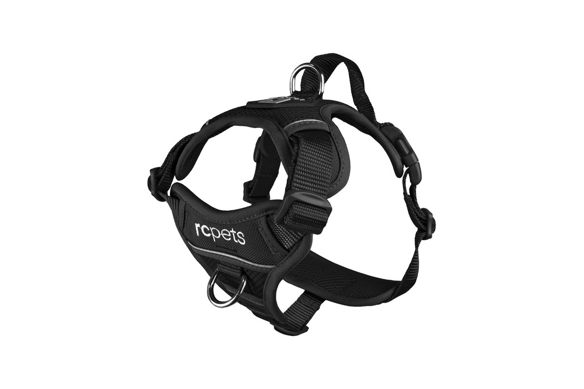 Momentum Control Harness-Black Momentum Control Harness-Black