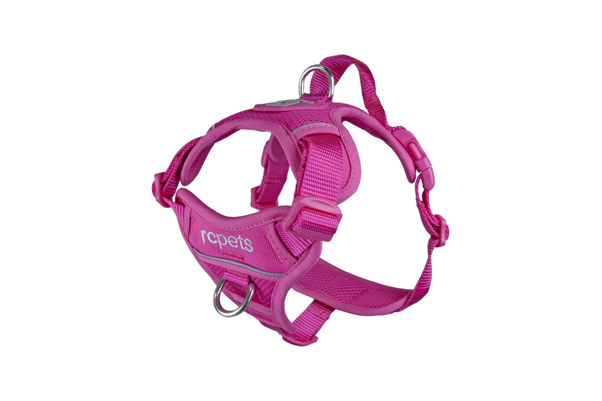 Momentum Control Harness-Fuchsia Momentum Control Harness-Fuchsia