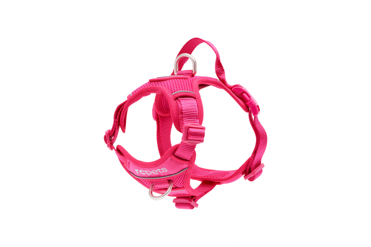 Momentum Control Harness-Azalea Momentum Control Harness-Azalea