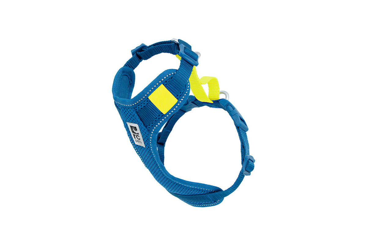 Moto Control Harness - Arctic Blue/Tennis
