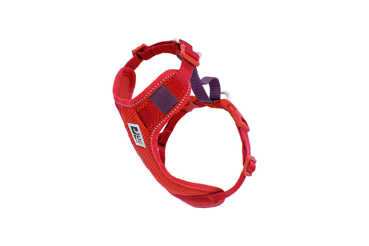 Moto Control Harness - Goji/Burgundy Moto Control Harness - Goji/Burgundy