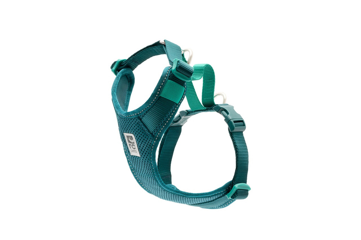 Moto Control Harness - Deep Sea/Parakeet