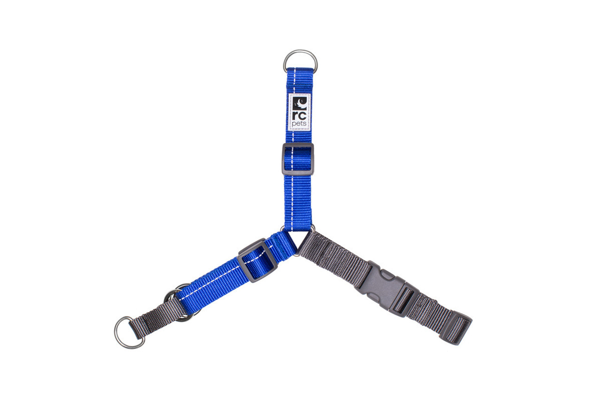 Pace-Harness - Royal Blue Pace-Harness - Royal Blue
