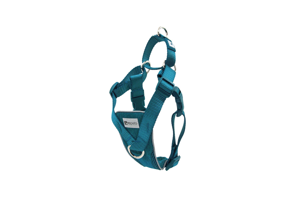 Tempo No Pull Harness - Heather Teal