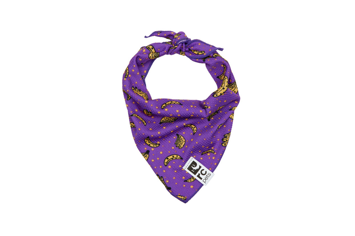 Zephyr Cooling Bandana - Bananas