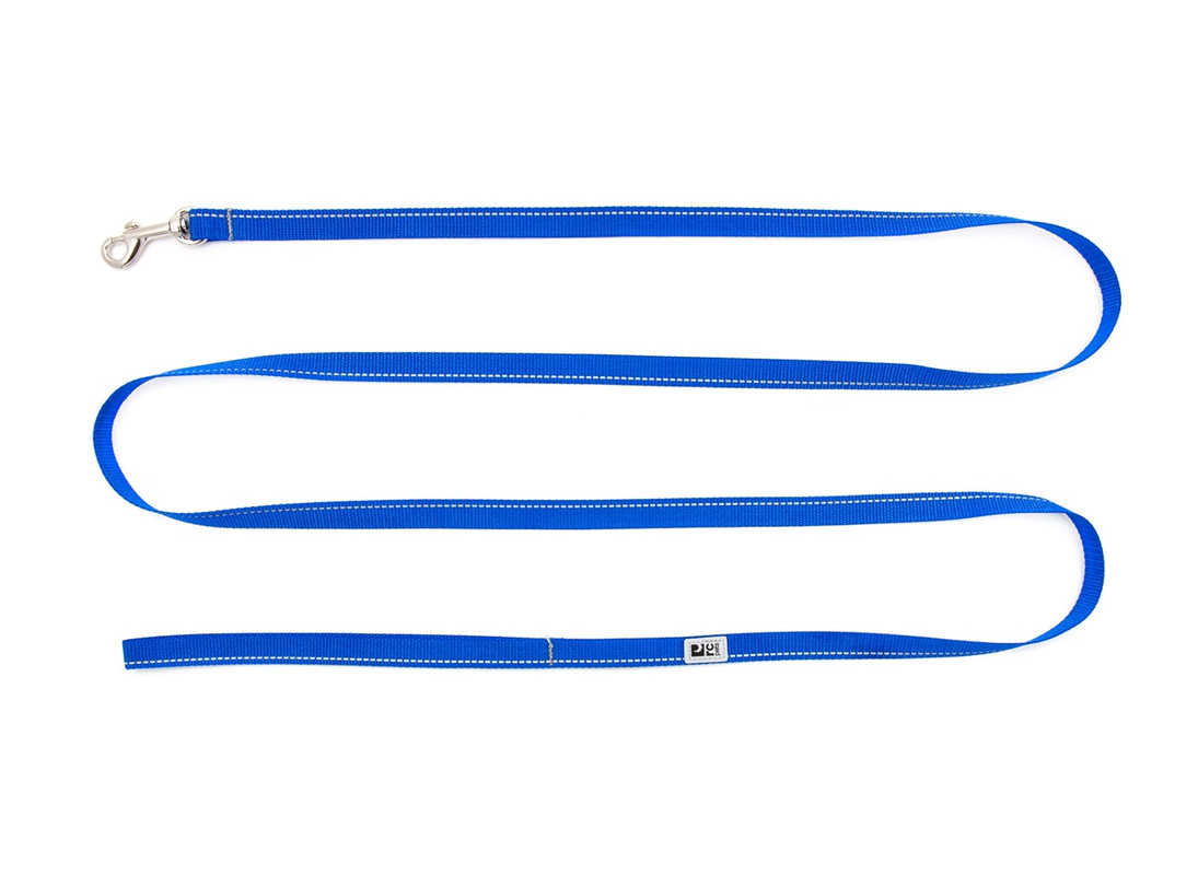 Primary Kitty Leash - Royal Blue