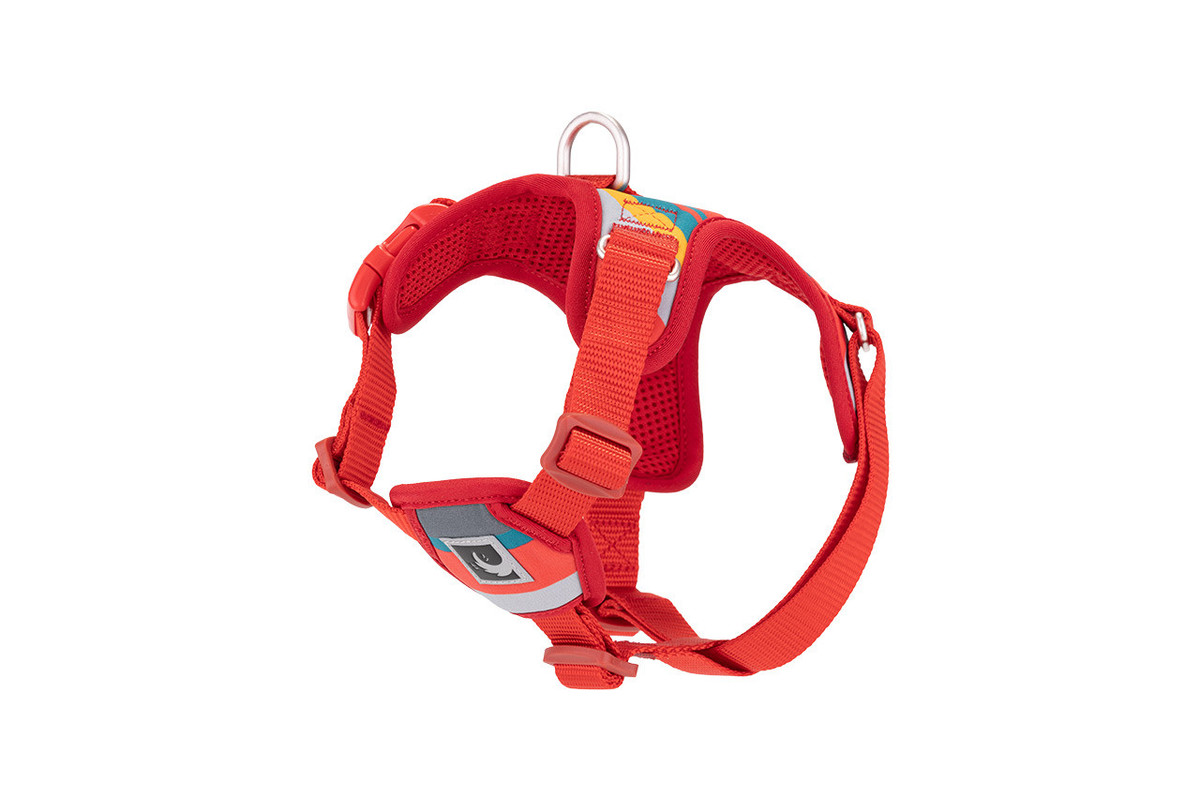 Forte Step In Harness - Multi Stripes