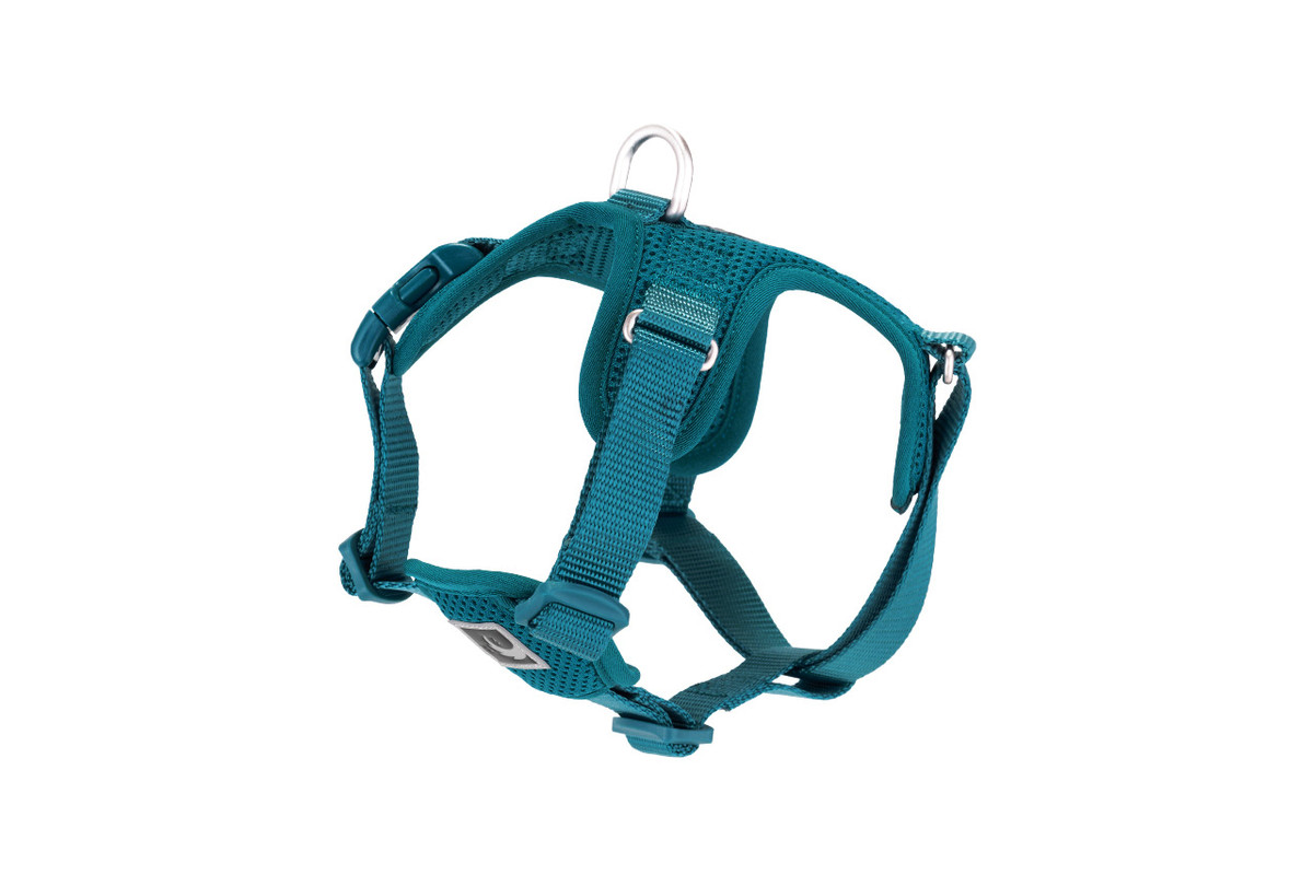 Forte Step In Harness - Dark Teal