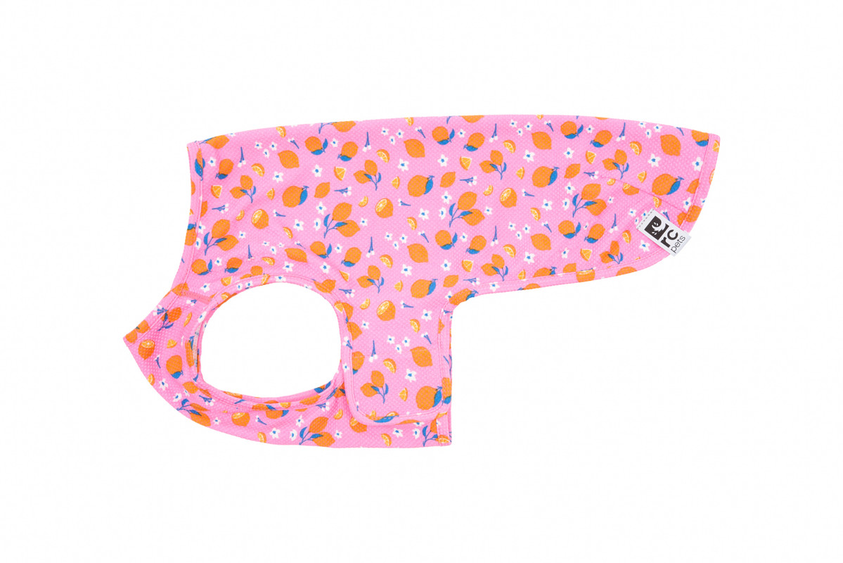 Zephyr Cooling Vest - Zesty Zephyr Cooling Vest - Zesty