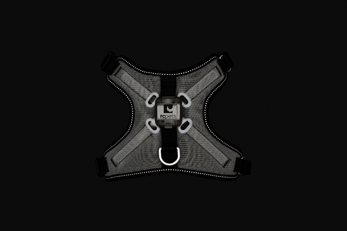 Nova LED Light Harness Nova LED Light Harness