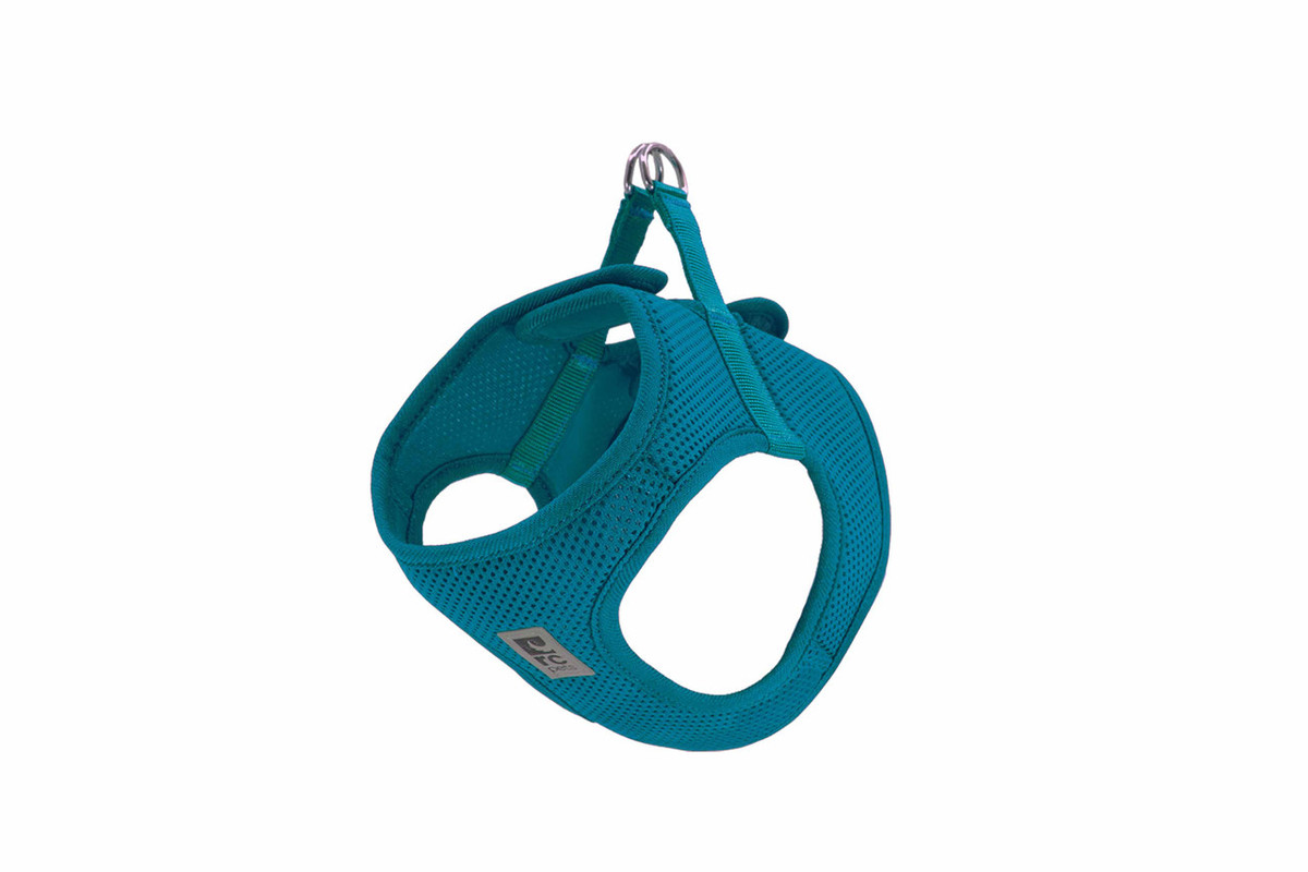 Step In Cirque Harness - Dark Teal