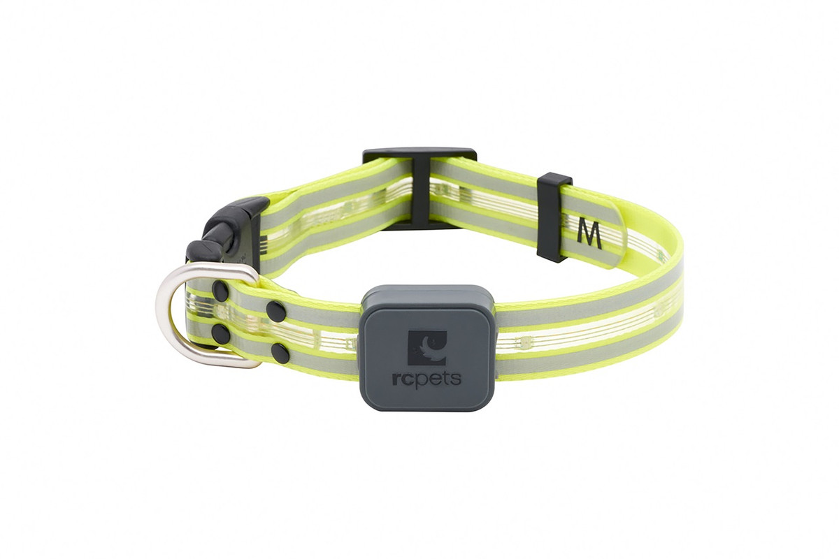 Nova LED Light Collar - Tennis