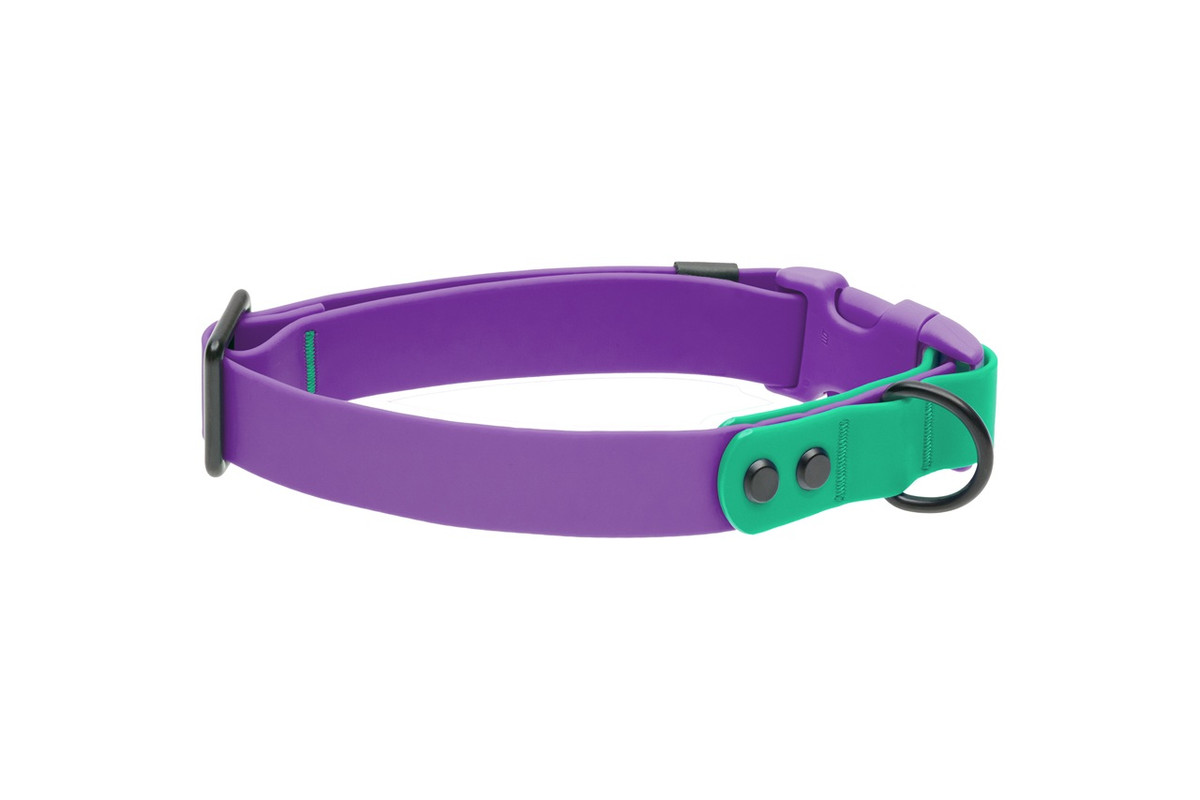Waterproof Collar - Purple/Parakeet