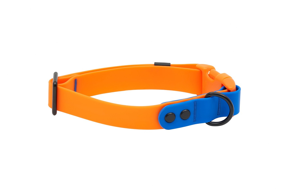Waterproof Collar - Orange/Sapphire