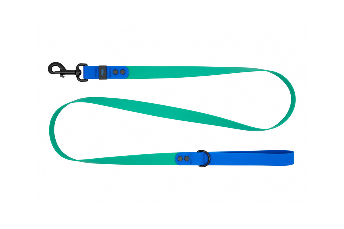 Waterproof Leash - Parakeet/Sapphire