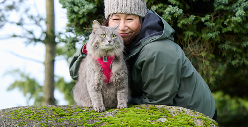 Cats