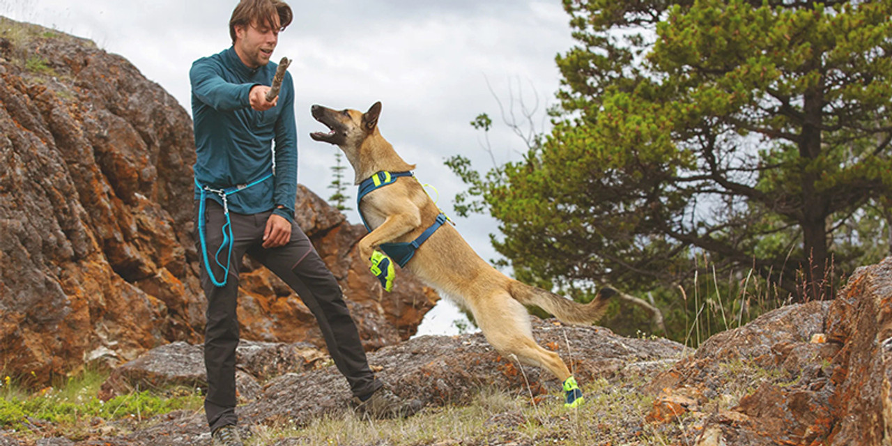 Dog Socks  Keep Your Dog's Paws Safe & Comfy