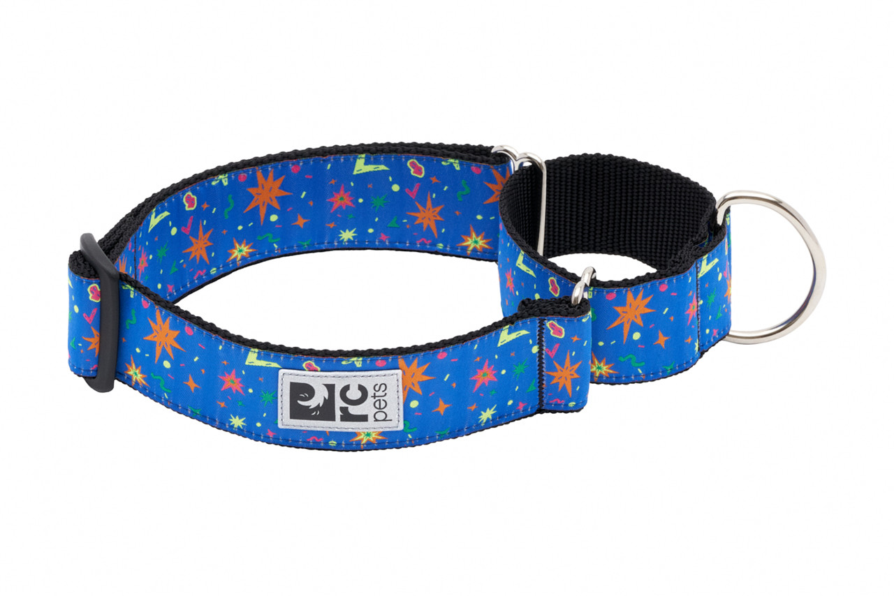 All Webbing Training Collar Martingale Training Dog Collar