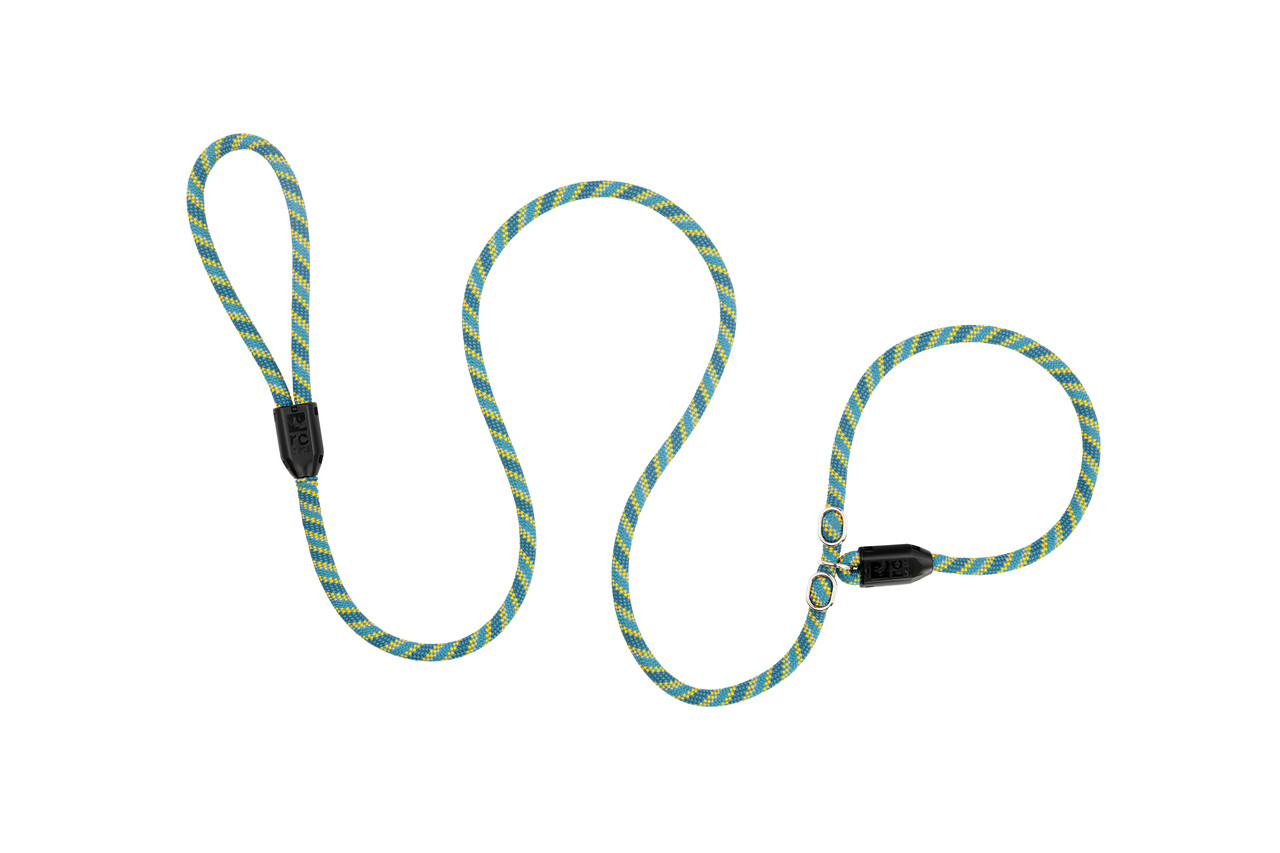 Rope Slip Leash | Collar and Leash Combo for dogs