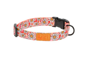 Eco Clip Collar - Daisy Joy
