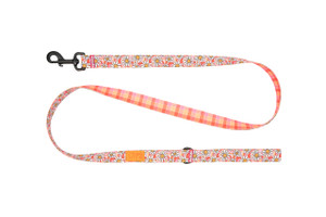 Eco Leash - Daisy Joy/Gleeful Gingham Eco Leash - Daisy Joy/Gleeful Gingham