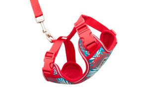 Adventure Kitty Harness - Maldives