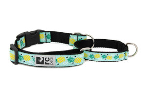 Easy Clip Web Training Collar - Pineapple Parade
