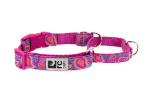 Easy Clip Web Training Collar - Bright Paisley