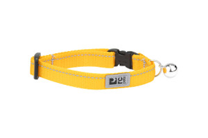 Kitty Breakaway Collar Primary - Marigold
