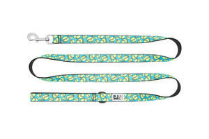 Dog Leash - Fetch