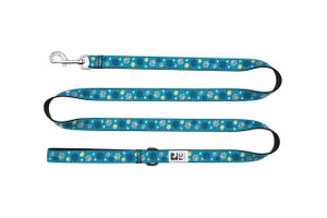 Dog Leash - Fresh Tracks Teal