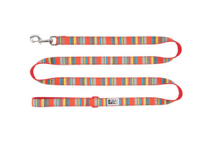 Dog Leash - Multi Stripes