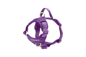 Momentum Control Harness-Purple