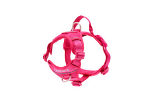 Momentum Control Harness-Azalea