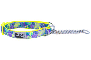 Training Collar - Citrus