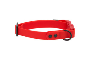 Waterproof Collar - Red