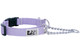 Training Clip Collar Primary - Lilac