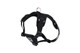 Forte Step In Harness - Black