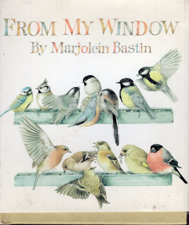 Front cover image of the book From My Window by Marjolein Bastin