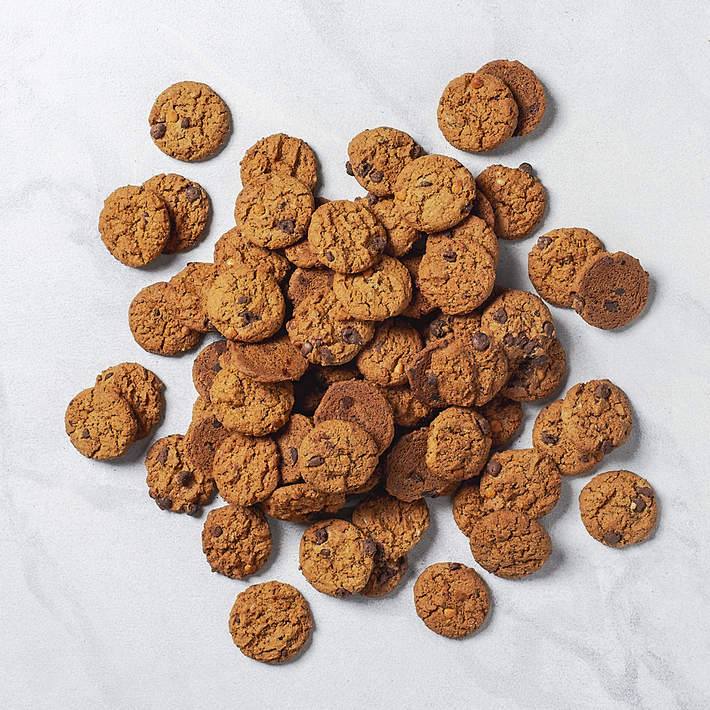 cookie 6 oz. Cookie's Cookie – Flagship Tin | Byrd Cookie Company