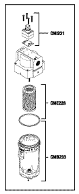 RPI DentalEz/Custom Air/RamVac Compressor fparticulate Filter Assembly (OEM #004961), CMA230