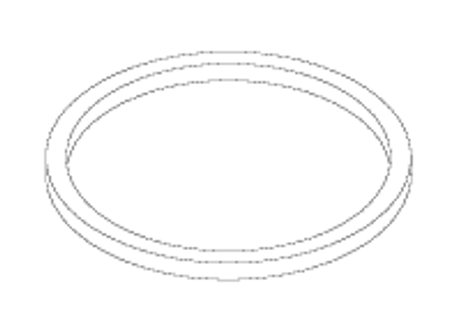 RPI Dental Vacuum Unit Solids Collector Bowl Gasket  (OEM #55625, 77007018, VFG-100), VPG080