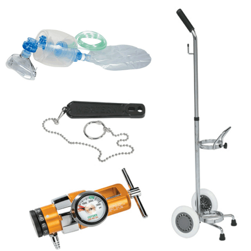 Belmed Inc. Manual Resuscitator, Portable System, E100