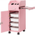 Hair Salon Storage Cart with Wheels & 3 Hair Dryer Holders & 4 Drawers & Lock & 2 Keys, Hairdressin T575-S0671389720