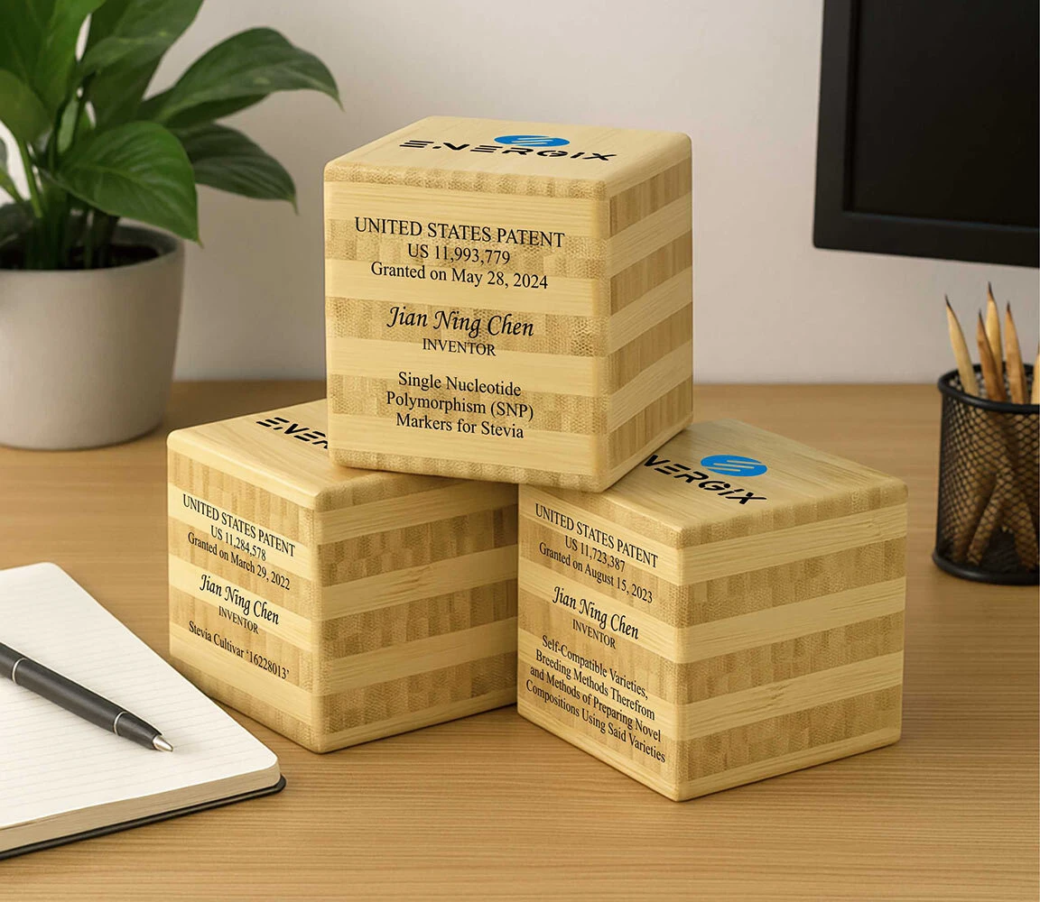 Bamboo Cube Patent Desk Awards